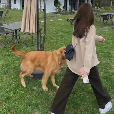 葡萄牙狂想曲