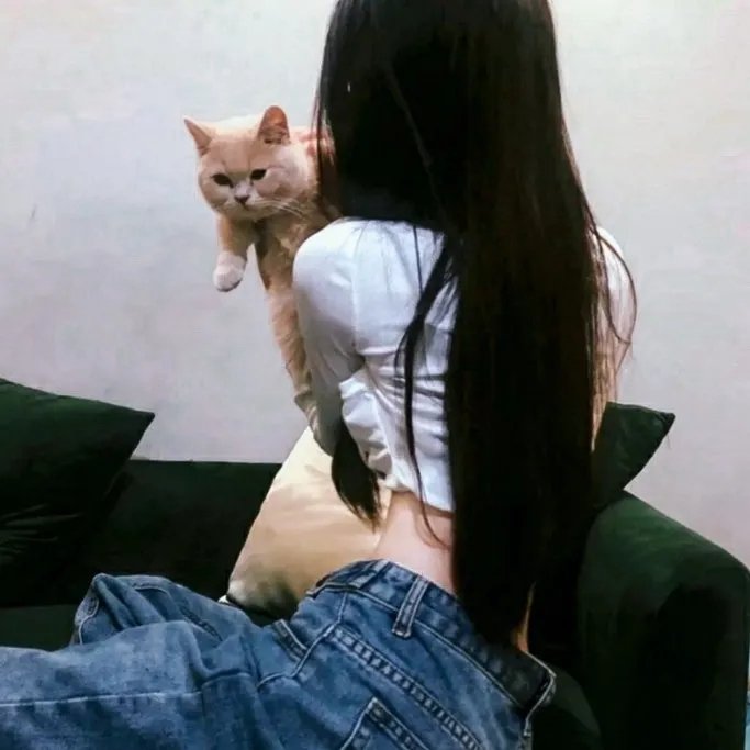 泡妞专家